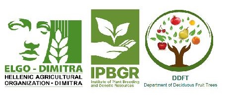 Ανάρτηση άρθρου: Εκτίμηση της δημιουργίας κενών δοχείων φυτοφαρμάκων σε γεωργικές περιοχές.