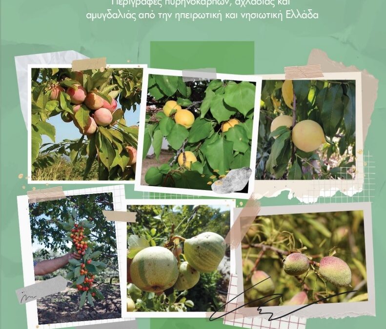 Τοπικές ποικιλίες οπωροφόρων δένδρων: Περιγραφές πυρηνοκάρπων, αχλαδιάς και αμυγδαλιάς από την ηπειρωτική και νησιωτική Ελλάδα